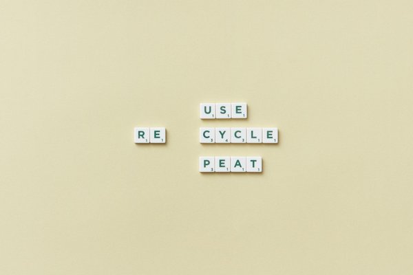 Cuisiner Écoresponsable: Astuces et Pratiques pour une Cuisine Environnementale